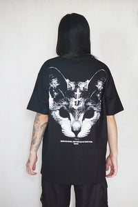 HAIL LUCIPURR